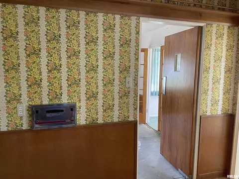 919 2nd St, Lacon, IL 61540 photo 31