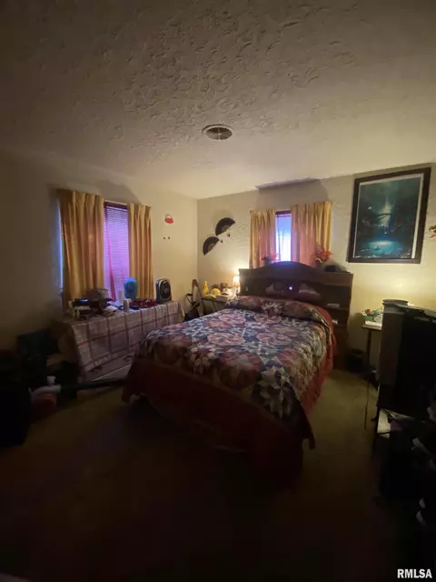 205 E Myrtle St, Canton, IL 61520 photo 9
