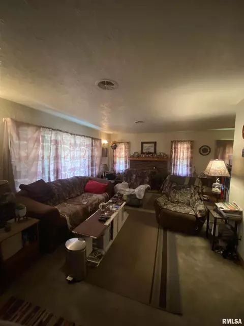 205 E Myrtle St, Canton, IL 61520 photo 7