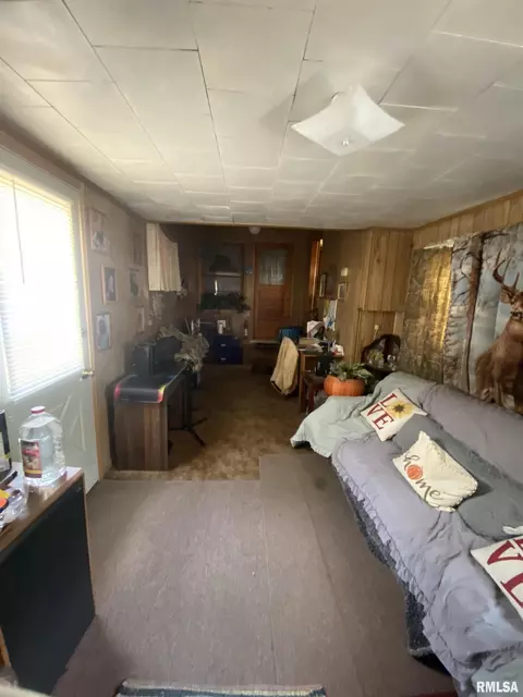 205 E Myrtle St, Canton, IL 61520 photo 14