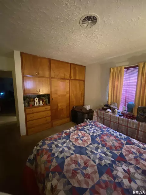 205 E Myrtle St, Canton, IL 61520 photo 10