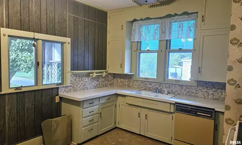 1359 E Chestnut St, Canton, IL 61520 photo 18