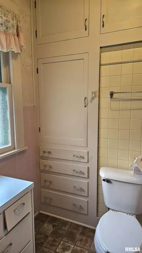 1359 E Chestnut St, Canton, IL 61520 photo 38