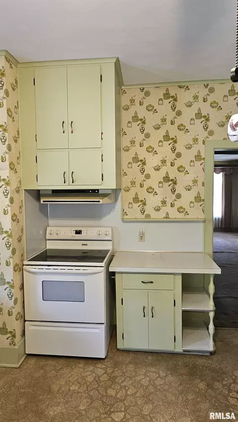 1359 E Chestnut St, Canton, IL 61520 photo 14