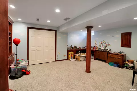 917 W Bennett Ct, Dunlap, IL 61525 photo 37