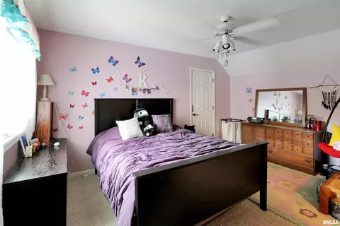 917 W Bennett Ct, Dunlap, IL 61525 photo 33