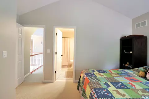 917 W Bennett Ct, Dunlap, IL 61525 photo 29