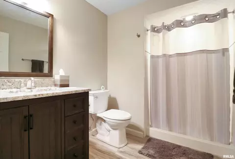 917 W Bennett Ct, Dunlap, IL 61525 photo 39