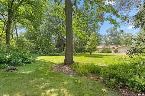 Exterior - 427 W Rain Tree Rd, Dunlap, IL 61525 photo 4 of 8