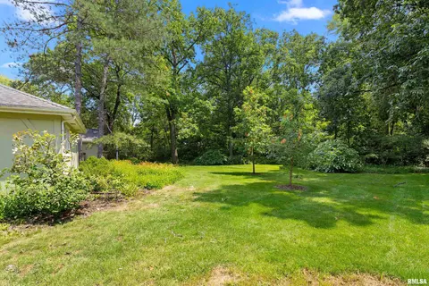Exterior - 427 W Rain Tree Rd, Dunlap, IL 61525 photo 3 of 8