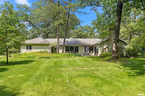 Exterior - 427 W Rain Tree Rd, Dunlap, IL 61525 photo 5 of 8