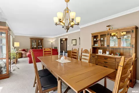 Dining - 427 W Rain Tree Rd, Dunlap, IL 61525 photo 3 of 4