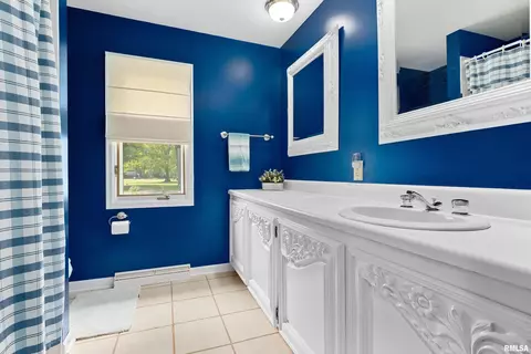 Bath - 427 W Rain Tree Rd, Dunlap, IL 61525 photo 1 of 4