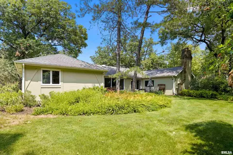 Exterior - 427 W Rain Tree Rd, Dunlap, IL 61525 photo 6 of 8