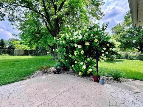 1434 E Rouse Ave, Peoria, IL 61614 photo 19