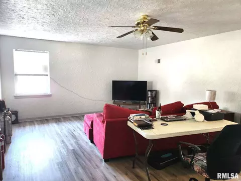24 E Hickory St, Canton, IL 61520 photo 19
