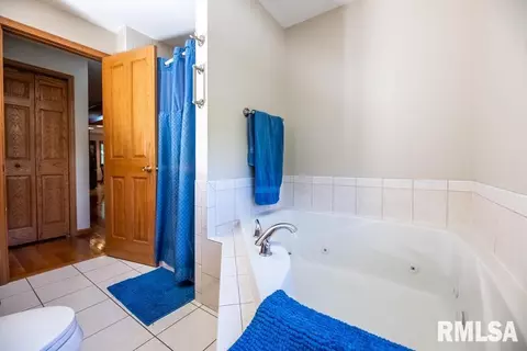 Bath - 10408 W Prince Valiant Ct, Mapleton, IL 61547 photo 2 of 3