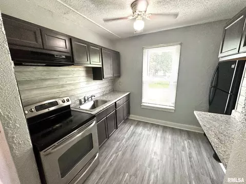 1025 E Locust St, Canton, IL 61520 photo 15
