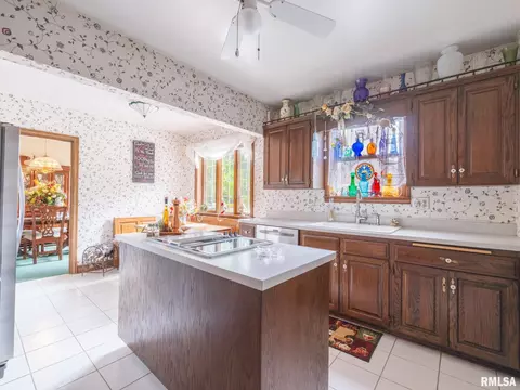 123 N Kickapoo Ter, Peoria, IL 61604 photo 13