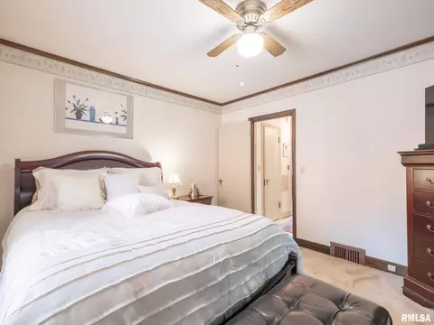 123 N Kickapoo Ter, Peoria, IL 61604 photo 26
