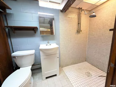 726 S Kickapoo Ln, Peoria, IL 61604 photo 32