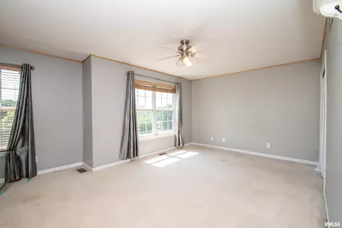 404 Bittersweet Ave, Germantown Hills, IL 61548 photo 20