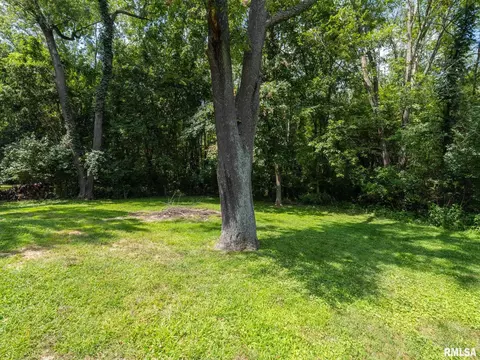 9531 W Guinivere Dr, Mapleton, IL 61547 photo 56