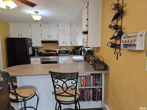 1420 E Spruce St, Canton, IL 61520 photo 15