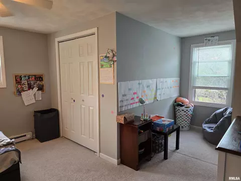 1420 E Spruce St, Canton, IL 61520 photo 48