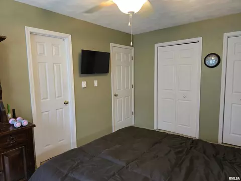 1420 E Spruce St, Canton, IL 61520 photo 26