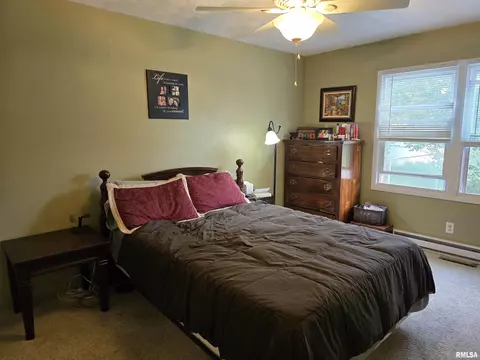 1420 E Spruce St, Canton, IL 61520 photo 29