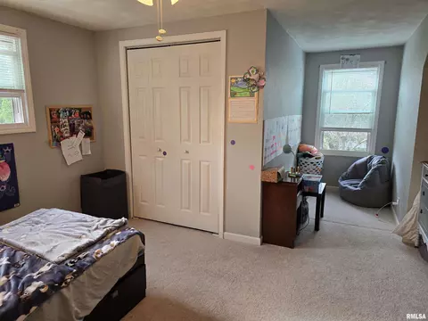 1420 E Spruce St, Canton, IL 61520 photo 49