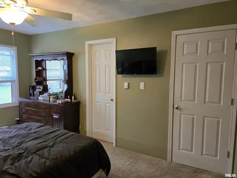 1420 E Spruce St, Canton, IL 61520 photo 24