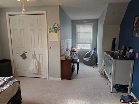 1420 E Spruce St, Canton, IL 61520 photo 51