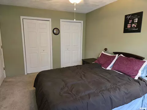 1420 E Spruce St, Canton, IL 61520 photo 28