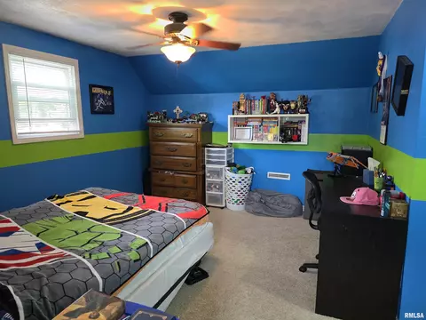 1420 E Spruce St, Canton, IL 61520 photo 38