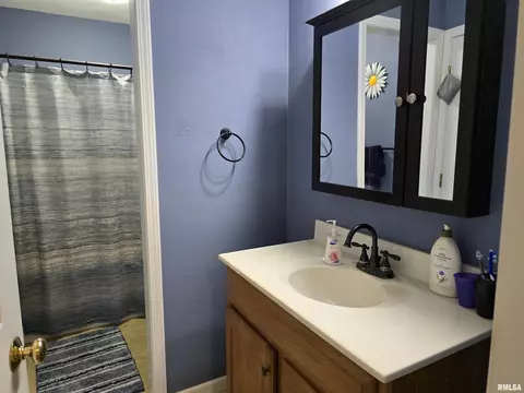 1420 E Spruce St, Canton, IL 61520 photo 30