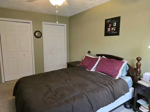 1420 E Spruce St, Canton, IL 61520 photo 27