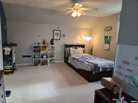 1420 E Spruce St, Canton, IL 61520 photo 47