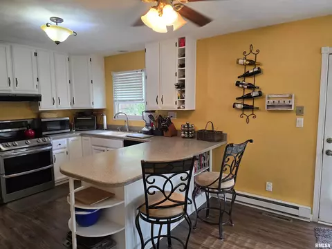 1420 E Spruce St, Canton, IL 61520 photo 14