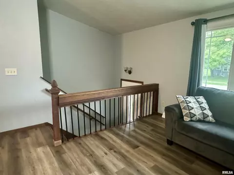 1147 E Chestnut St, Canton, IL 61520 photo 5