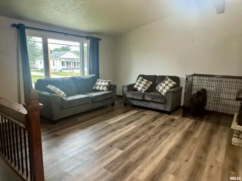 1147 E Chestnut St, Canton, IL 61520 photo 4