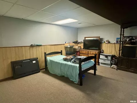 1147 E Chestnut St, Canton, IL 61520 photo 13