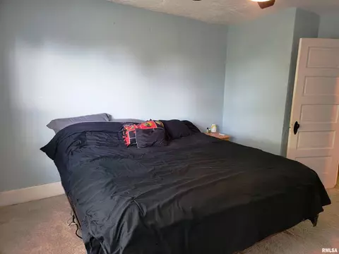 652 W Walnut St, Canton, IL 61520 photo 26