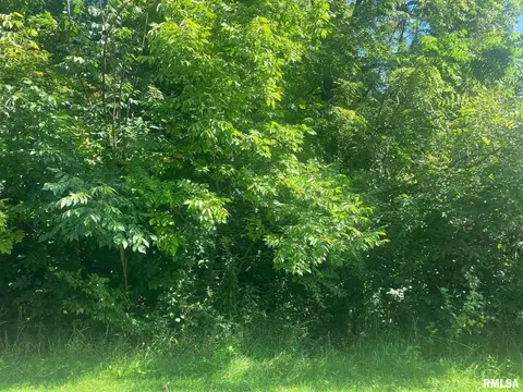 2 London Ct, Mackinaw, IL 61755