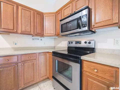 103 Grandezza Dr, Washington, IL 61571 photo 13