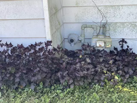 Exterior - 209 Central Ave, Saint David, IL 61563 photo 5 of 7