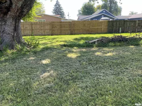Exterior - 209 Central Ave, Saint David, IL 61563 photo 6 of 7