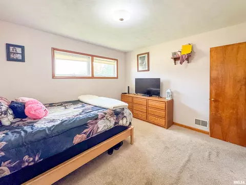 306 W Bertram St, Metamora, IL 61548 photo 11