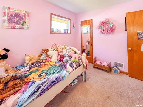 306 W Bertram St, Metamora, IL 61548 photo 17